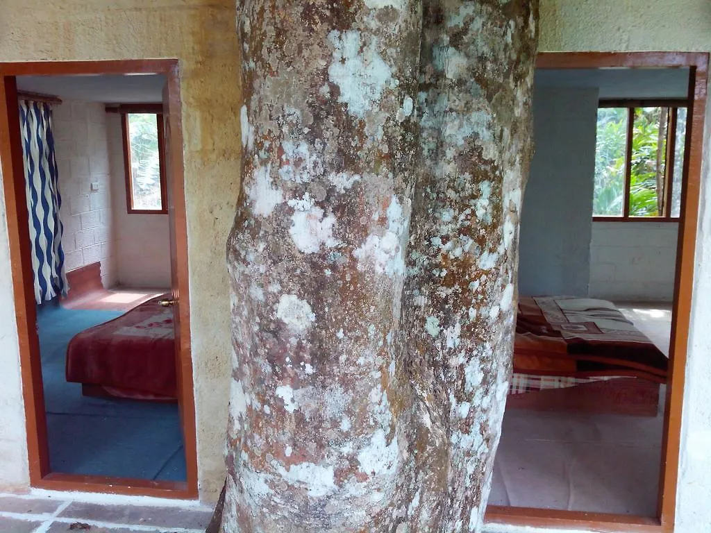 Jungle Jive Tree House Munnar Bed & Breakfast