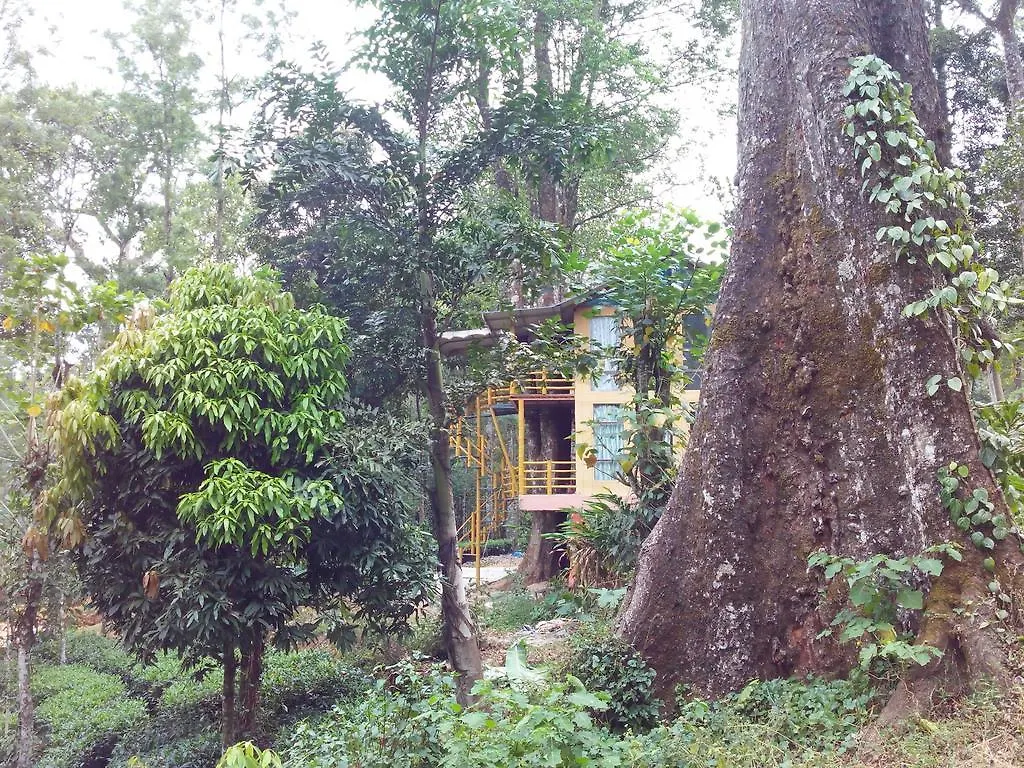 לינה וארוחת בוקר Jungle Jive Tree House מונאר