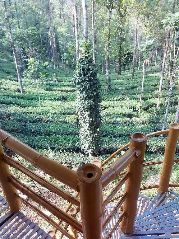 לינה וארוחת בוקר Jungle Jive Tree House מונאר