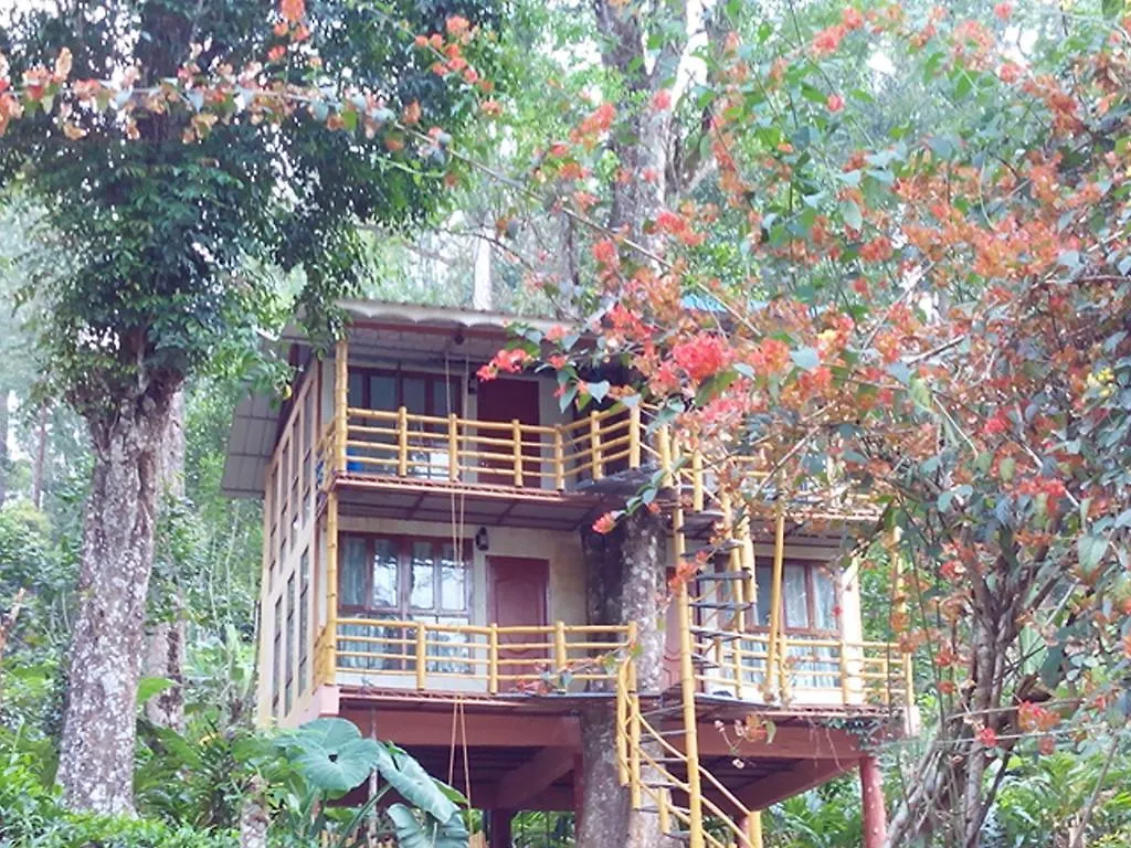 לינה וארוחת בוקר Jungle Jive Tree House מונאר