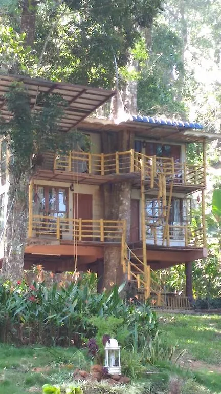 לינה וארוחת בוקר Jungle Jive Tree House מונאר 3*,