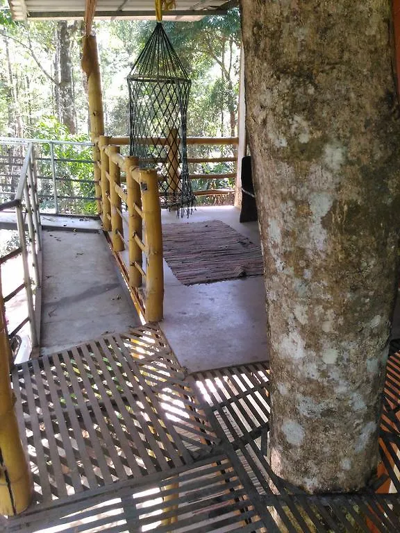 לינה וארוחת בוקר Jungle Jive Tree House מונאר
