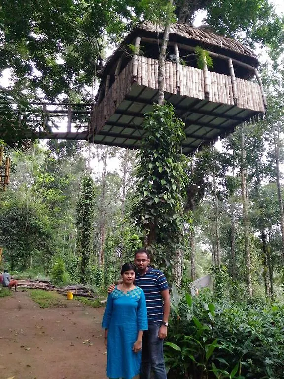 ***  לינה וארוחת בוקר Jungle Jive Tree House מונאר הודו