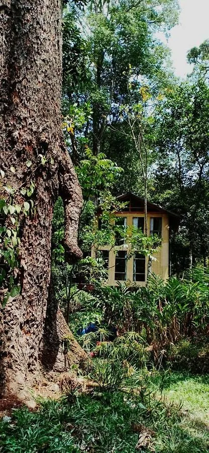 לינה וארוחת בוקר Jungle Jive Tree House מונאר